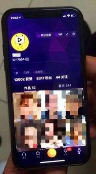 国产成人在线短视频,揭秘国内私密娱乐市场新趋势
