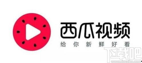 娱乐吃瓜点评视频素材,吃瓜群众视角下的明星幕后故事